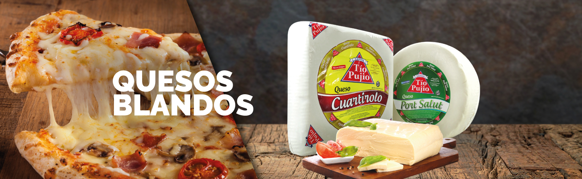 Quesos Blandos